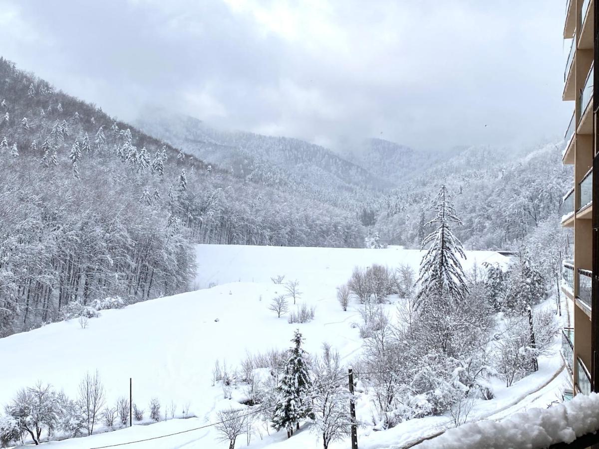 Forest View Oasis Brasov