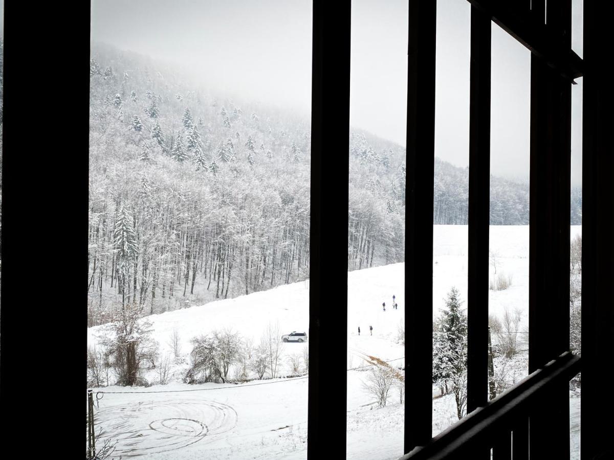 Forest View Oasis Apartment *