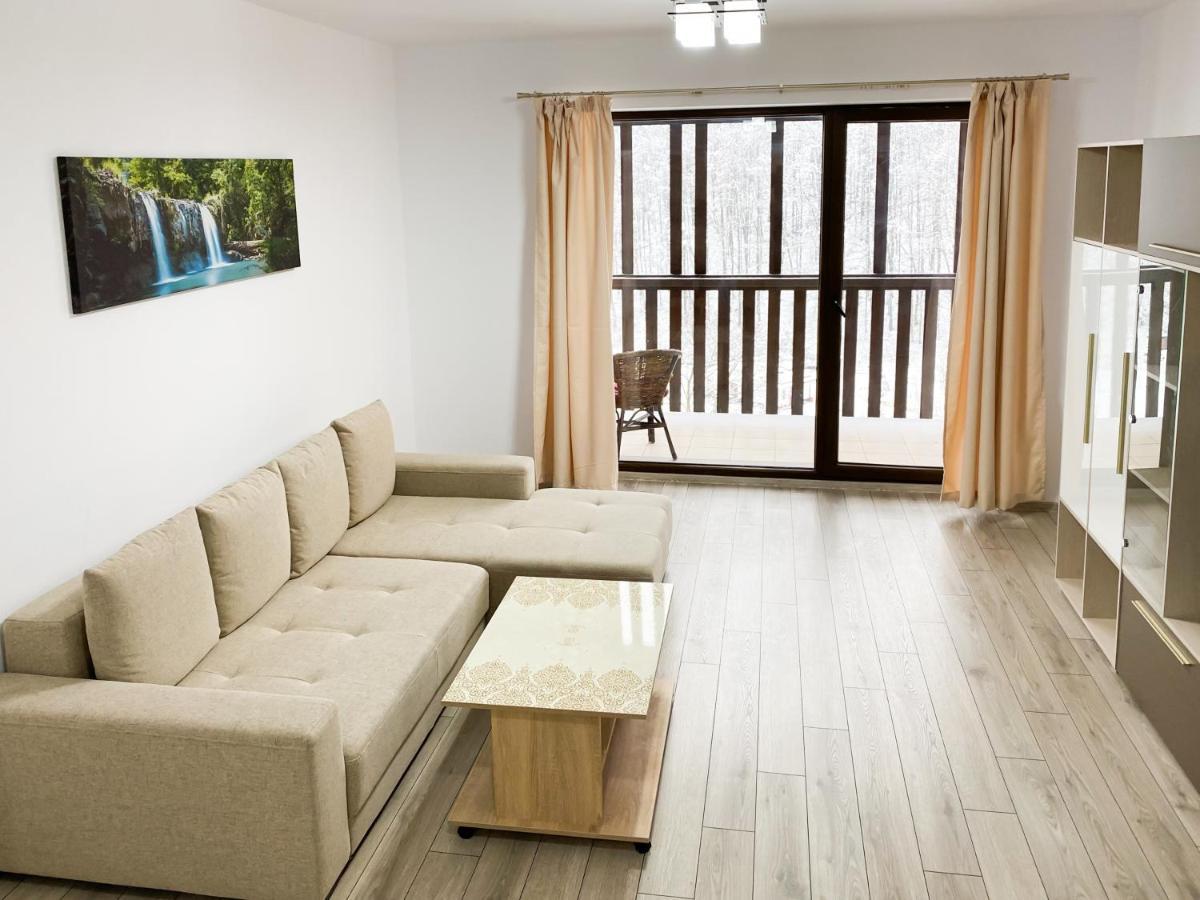 Forest View Oasis Appartamento Braşov